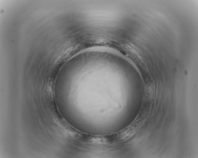 X0000088830415200706281801