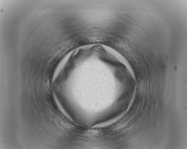 X0000088830418200706281801