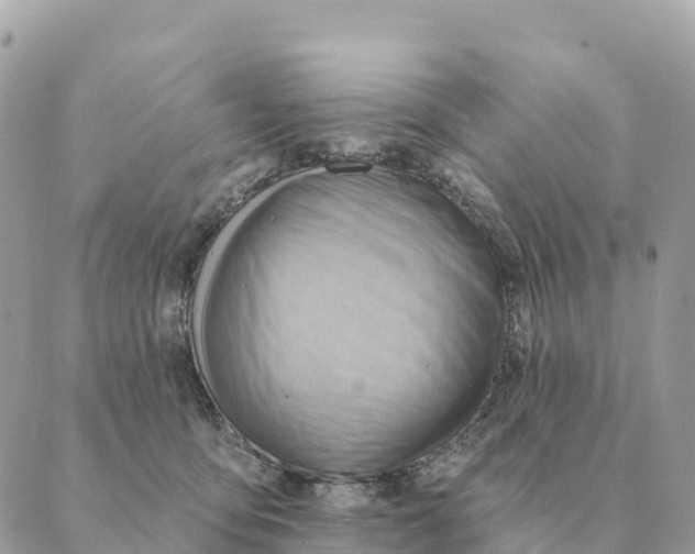 X0000088830419200706281801