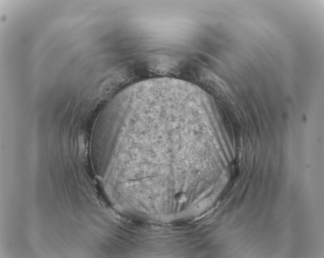 X0000088830420200706281801