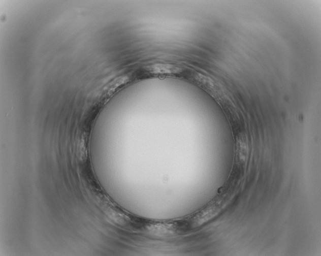 X0000088830422200706281801