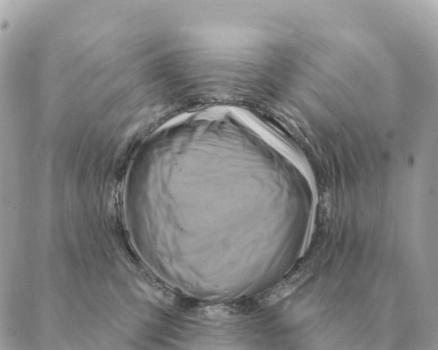 X0000088830423200706281801