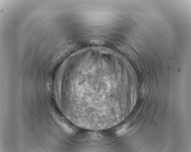 X0000088830424200706281801