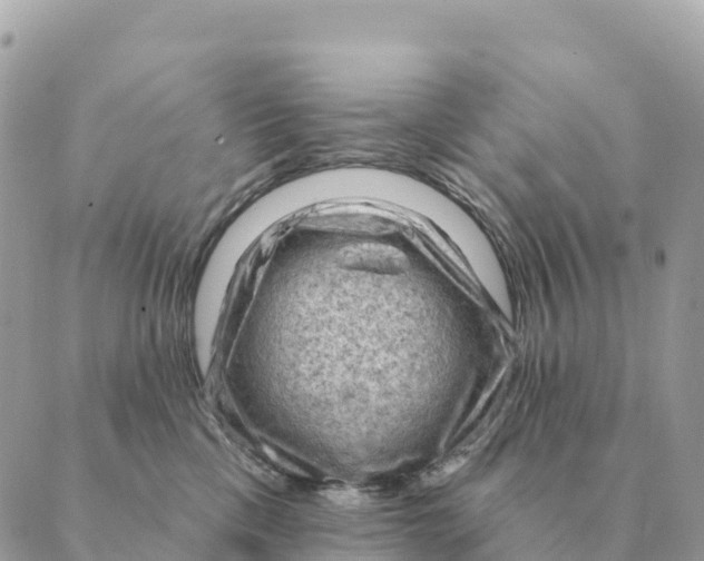 X0000088830425200706281800