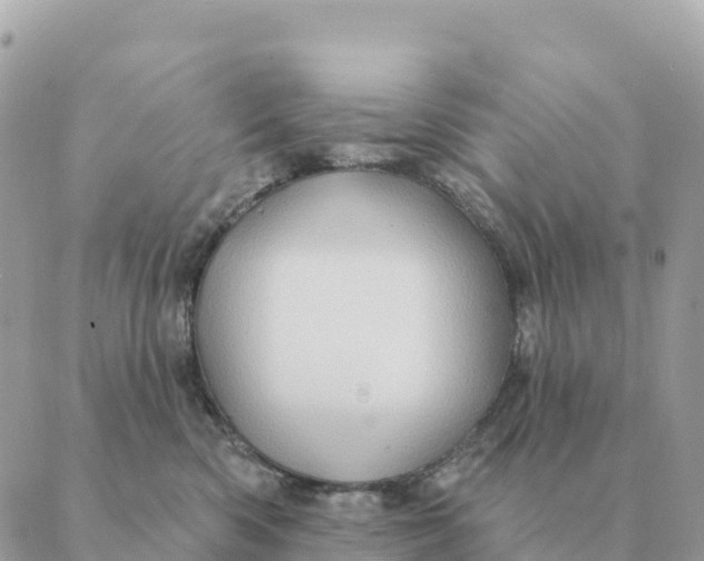 X0000088830426200706281800