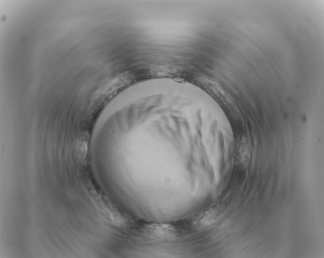 X0000088830427200706281800