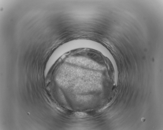 X0000088830429200706281800