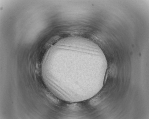 X0000088830430200706281800