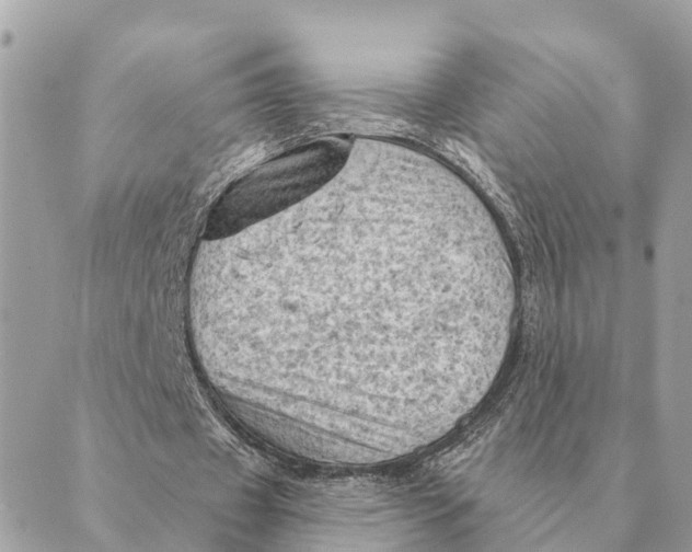 X0000088830433200706281800