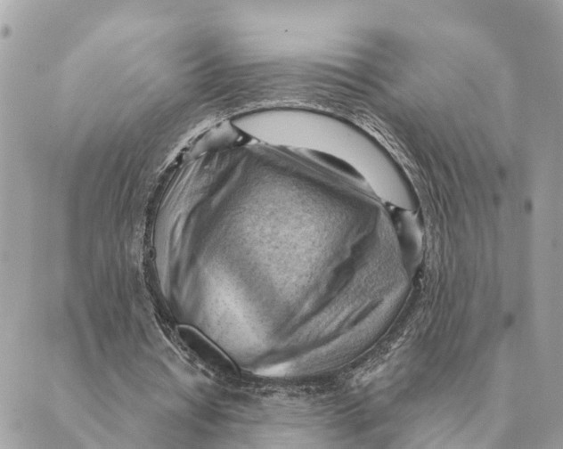 X0000088830434200706281800