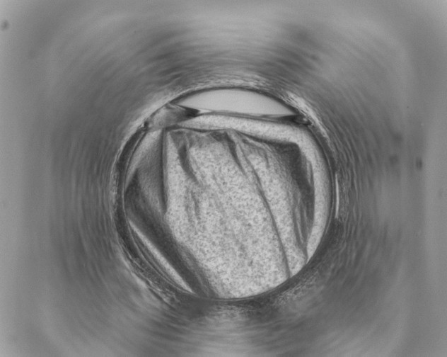 X0000088830435200706281800