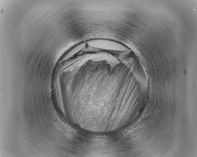 X0000088830438200706281800