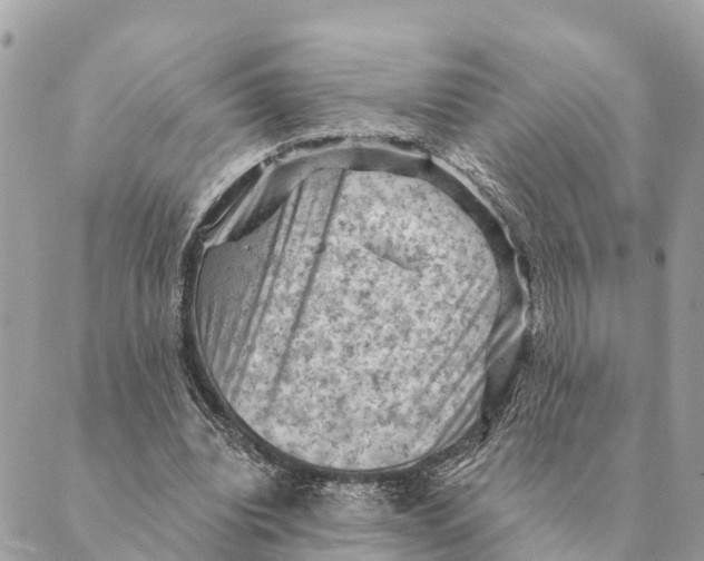 X0000088830440200706281800