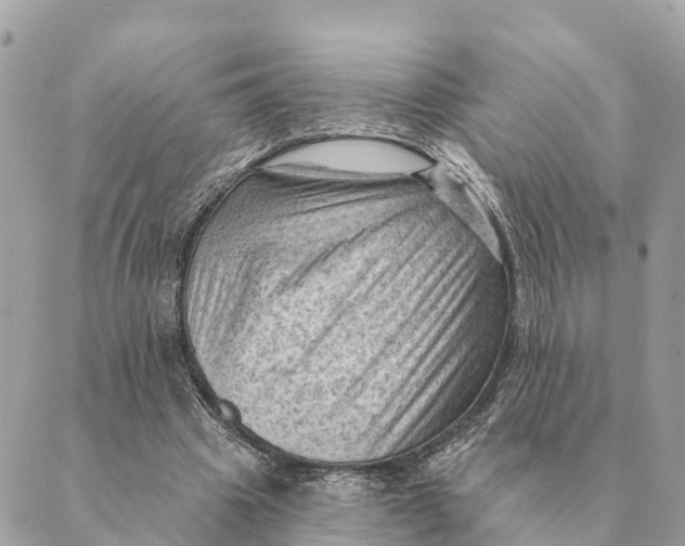 X0000088830441200706281800