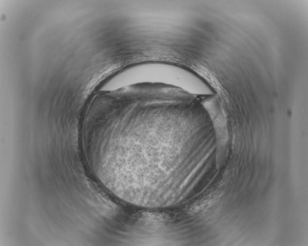 X0000088830442200706281800