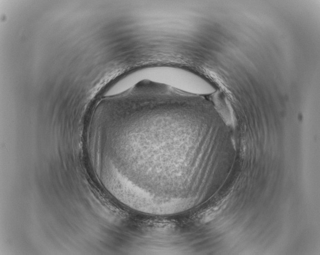 X0000088830443200706281800