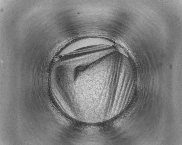 X0000088830445200706281800