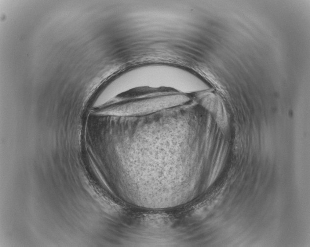 X0000088830446200706281800