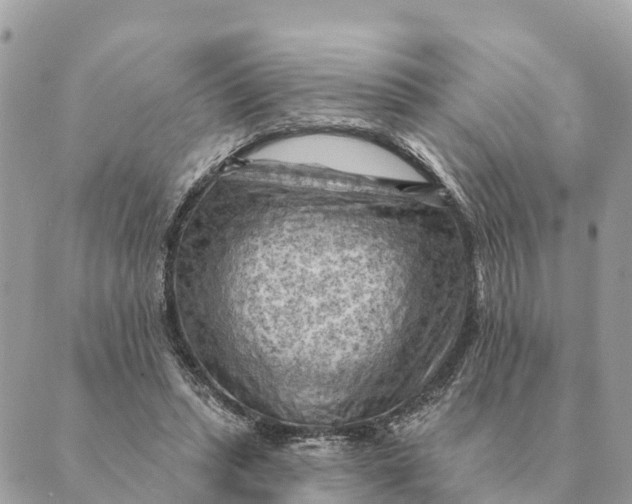 X0000088830447200706281800