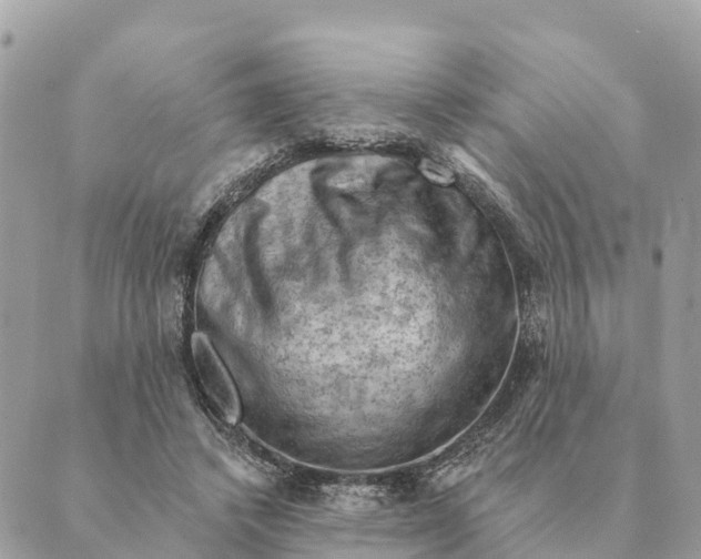 X0000088830448200706281800