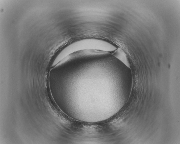 X0000088830450200706281800