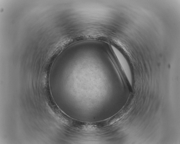 X0000088830451200706281800