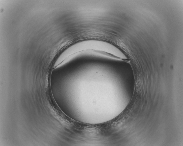 X0000088830454200706281800