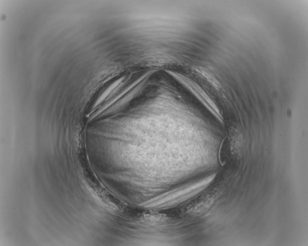 X0000088830455200706281800