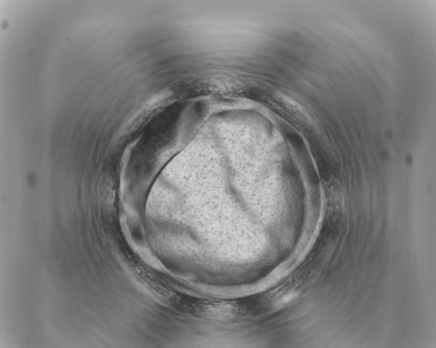 X0000088830456200706281800