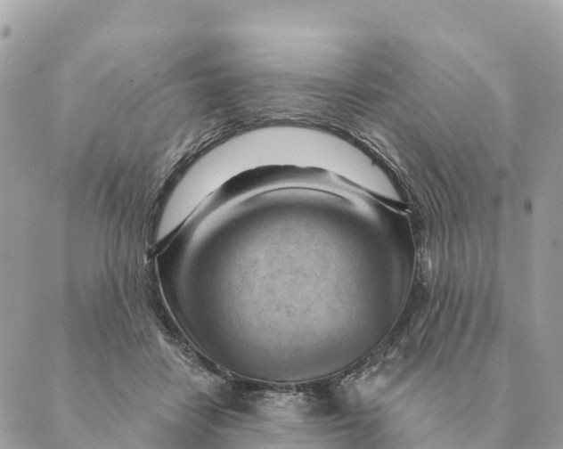 X0000088830458200706281800