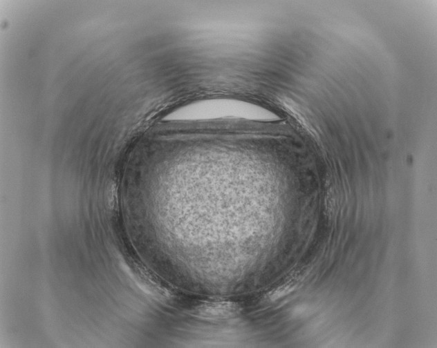 X0000088830459200706281800