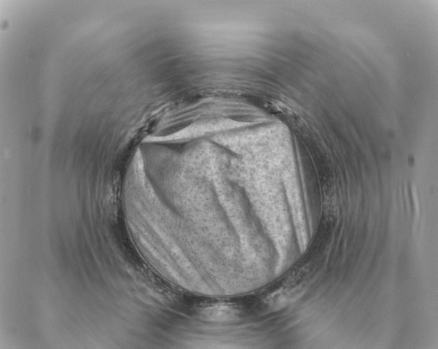 X0000088830460200706281800