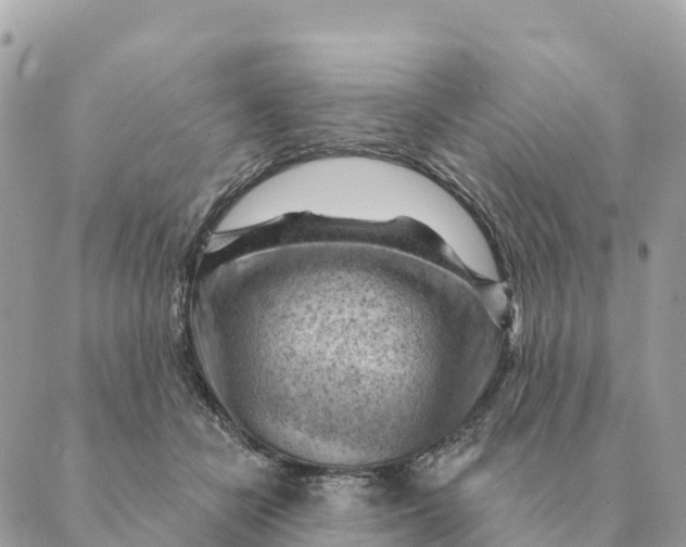 X0000088830462200706281800