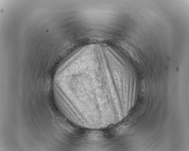 X0000088830463200706281800