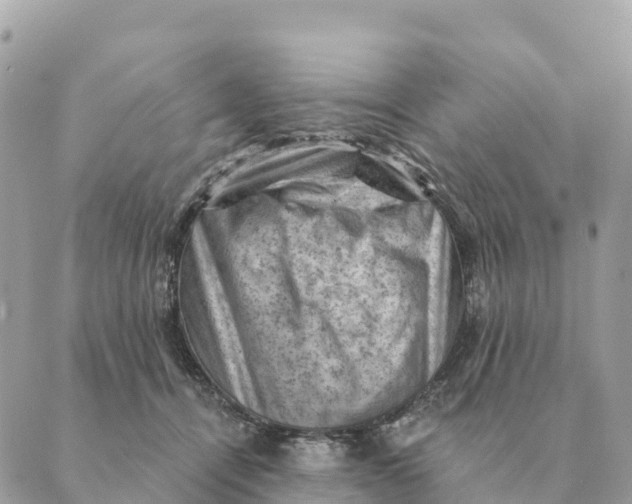 X0000088830464200706281800