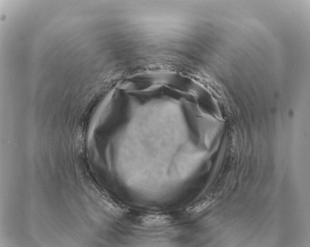 X0000088830465200706281800