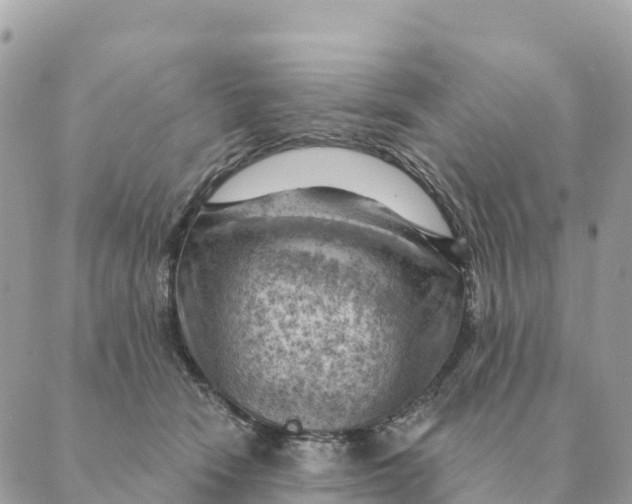 X0000088830466200706281800