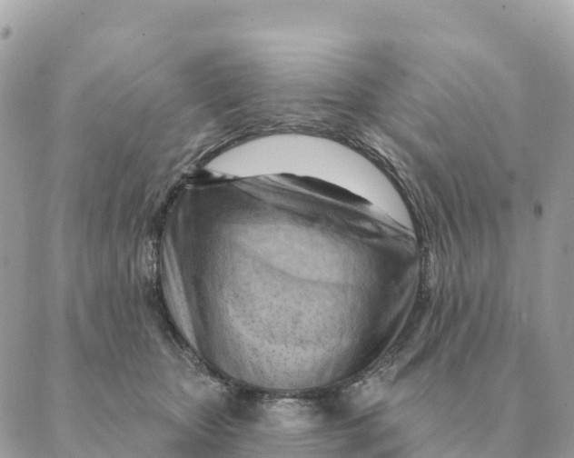 X0000088830467200706281800