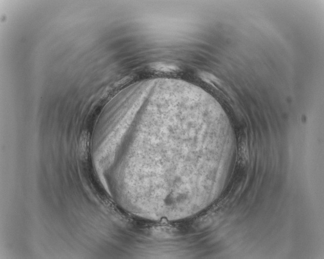 X0000088830468200706281800