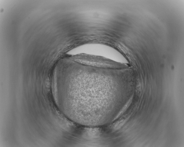 X0000088830469200706281800