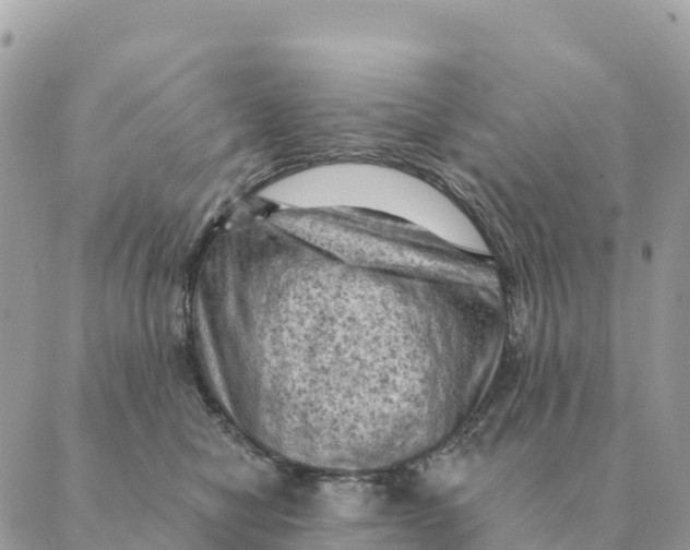 X0000088830470200706281800