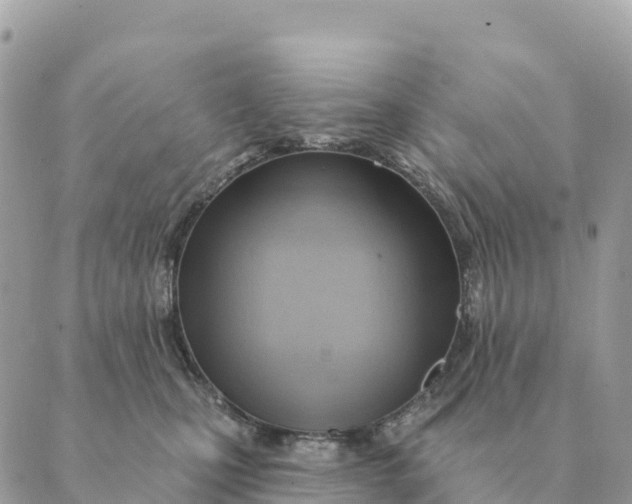 X0000088830471200706281800