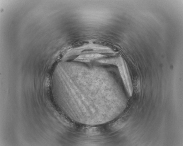 X0000088830472200706281800