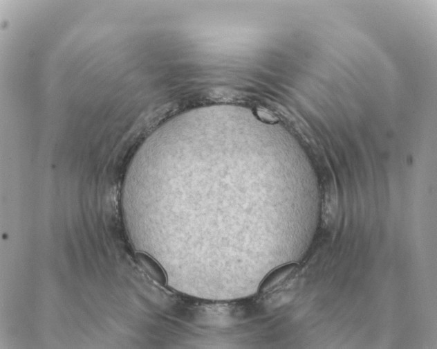 X0000088830473200706281800