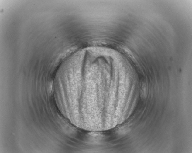 X0000088830477200706281800