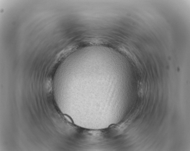 X0000088830478200706281800