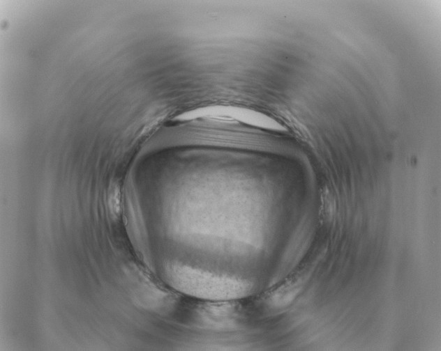 X0000088830479200706281800