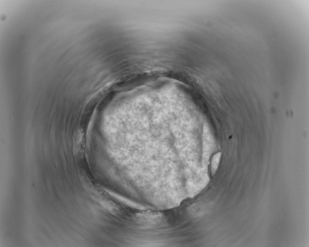 X0000088830480200706281800