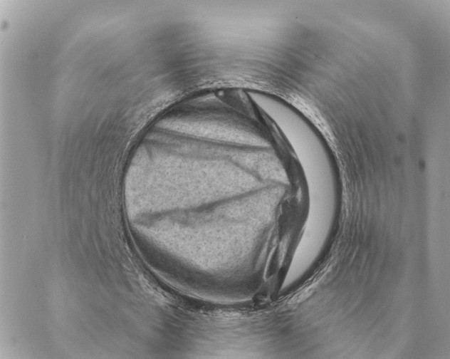 X0000088830481200706281800