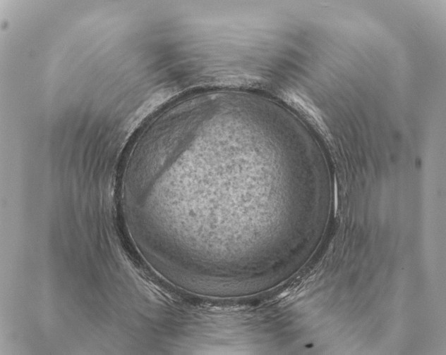 X0000088830483200706281800